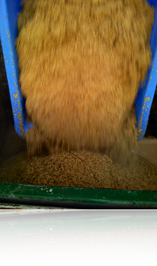 Photo: Spent Grain