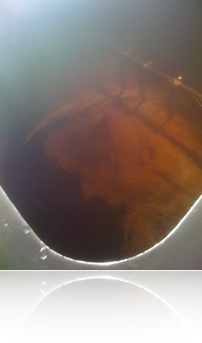 Photo: Mash Transfer, Sunlight