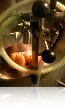 Photo: Manway, Peaches